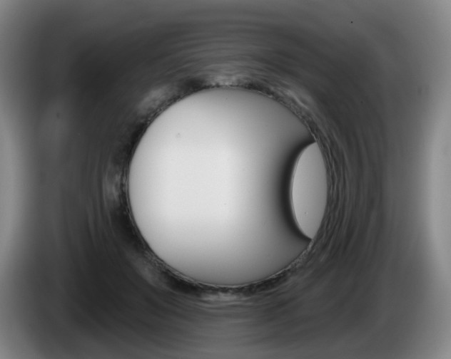 X0000085320503200703091118