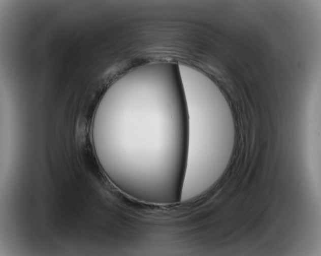 X0000085320504200703091118