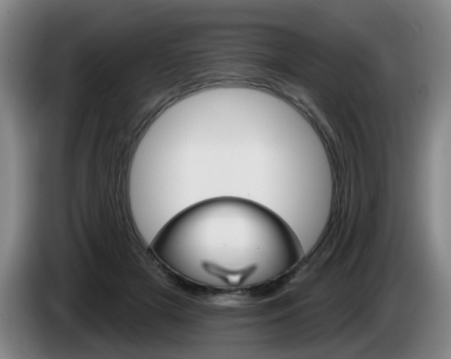 X0000085320505200703091118