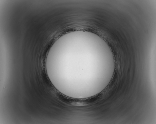 X0000085320506200703091118