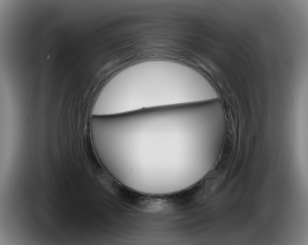 X0000085320507200703091118