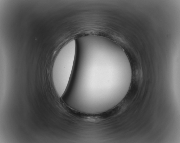 X0000085320508200703091118