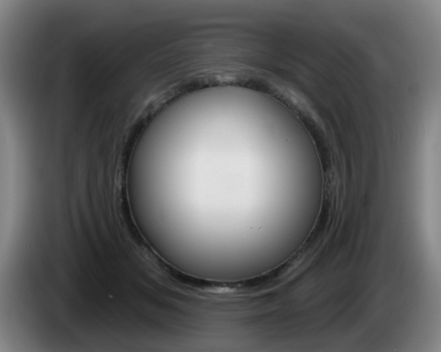 X0000085320509200703091118