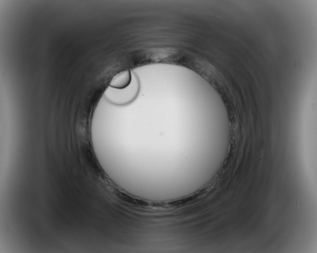 X0000085320510200703091118