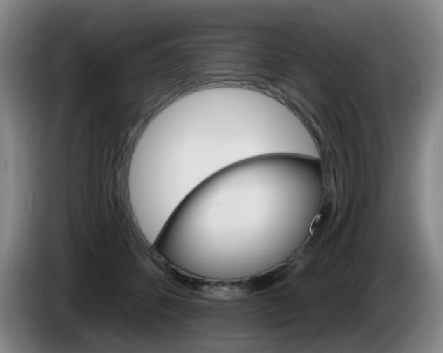 X0000085320512200703091118