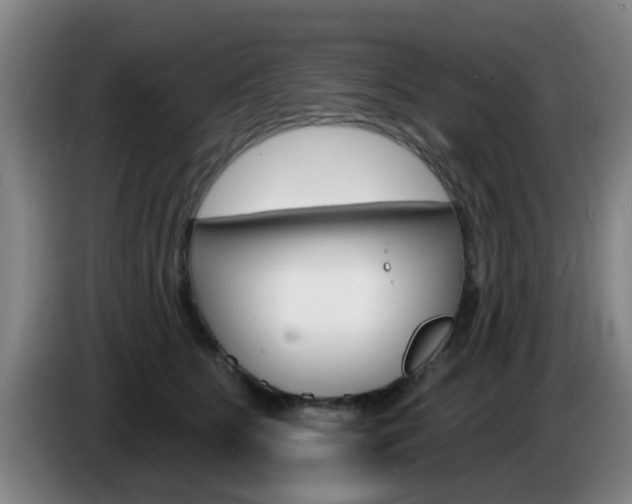 X0000085320515200703091117