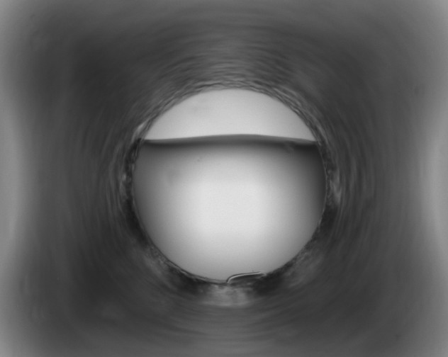 X0000085320520200703091117