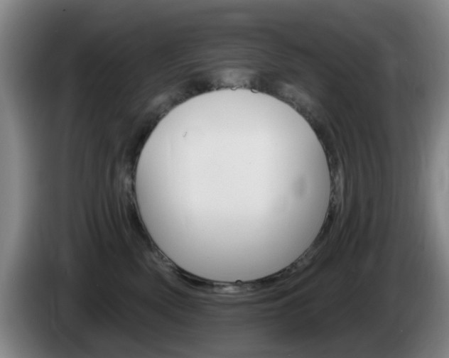 X0000085320522200703091117