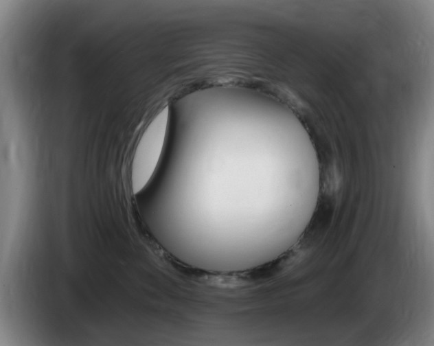 X0000085320524200703091117