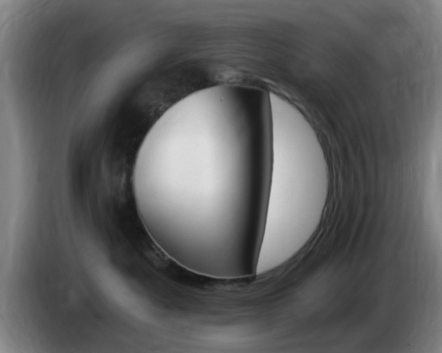 X0000085320525200703091117