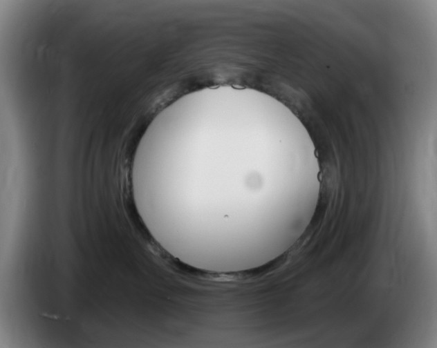 X0000085320527200703091117
