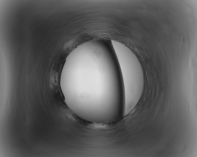 X0000085320528200703091117