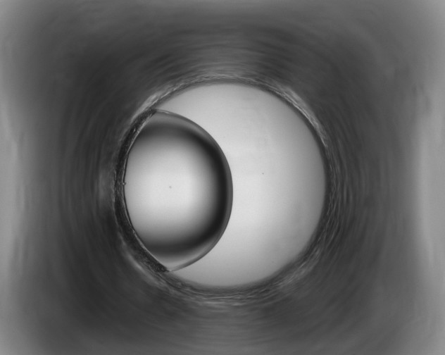 X0000085320530200703091117