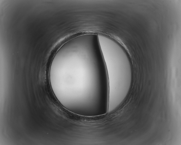 X0000085320531200703091117