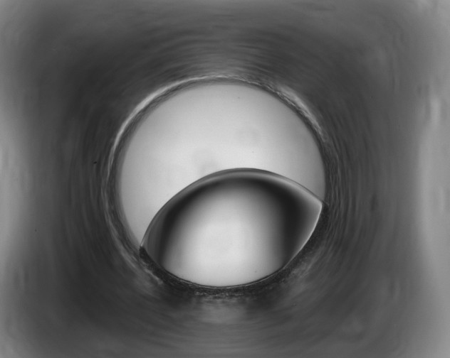 X0000085320532200703091117