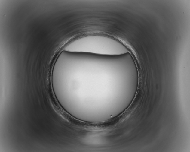 X0000085320533200703091117