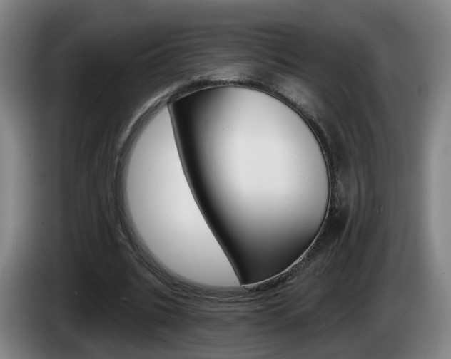 X0000085320535200703091117