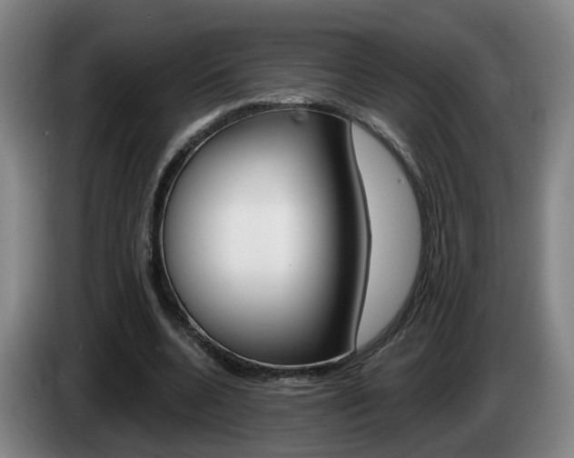 X0000085320536200703091117