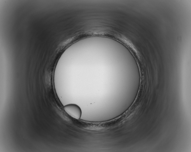 X0000085320537200703091117