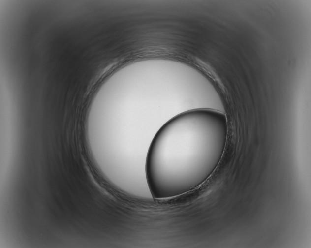 X0000085320538200703091117