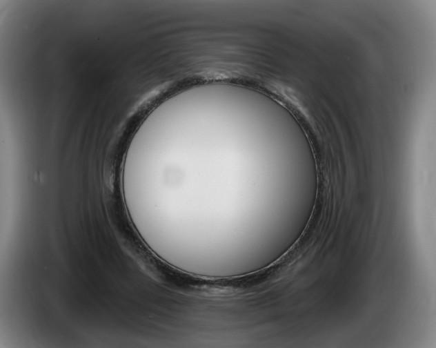 X0000085320539200703091117