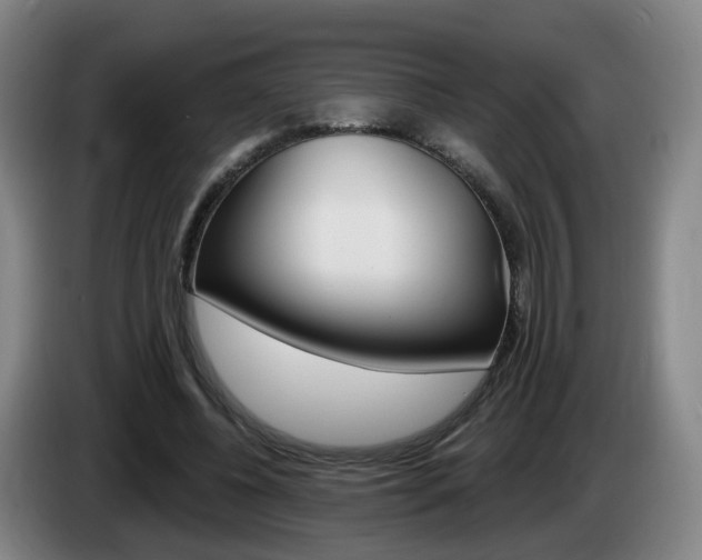 X0000085320540200703091117