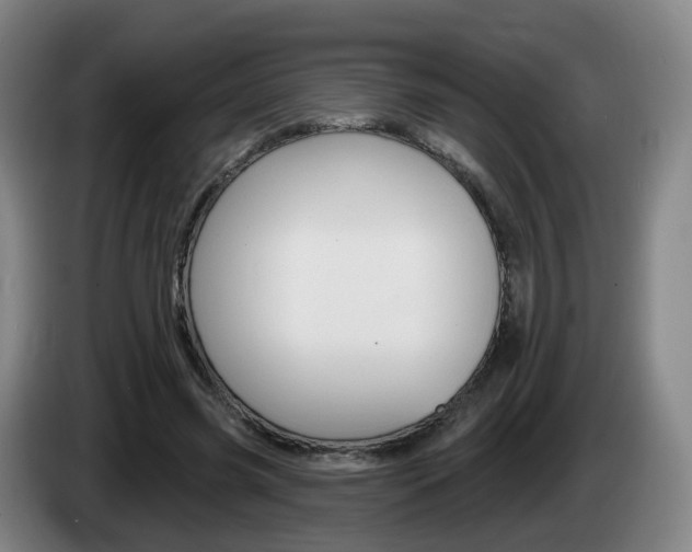 X0000085320541200703091117