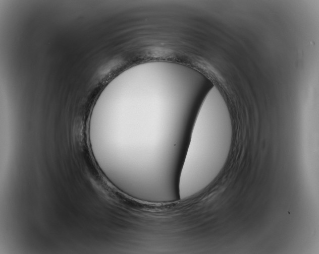 X0000085320542200703091117