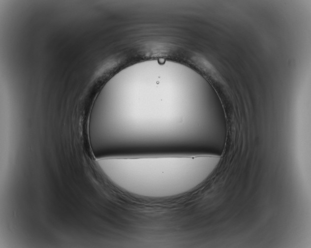 X0000085320543200703091117