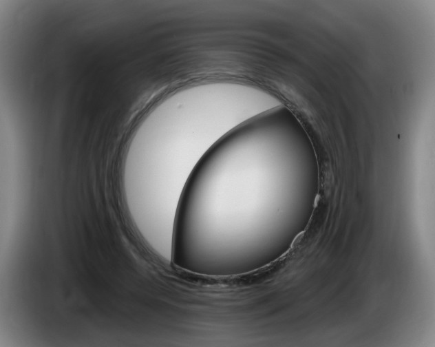 X0000085320544200703091117