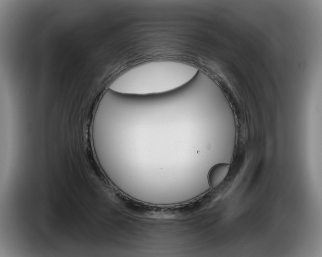 X0000085320545200703091117