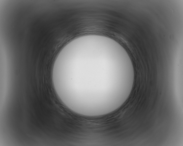 X0000085320546200703091117