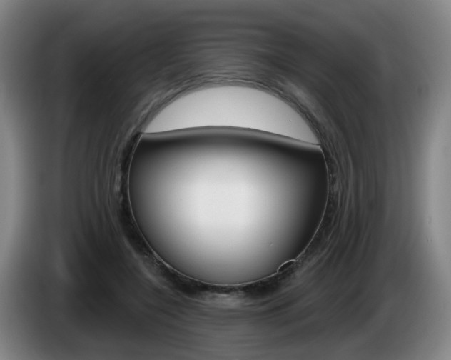 X0000085320548200703091117