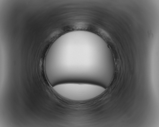 X0000085320550200703091117