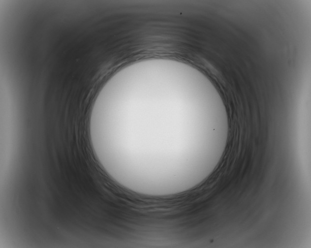 X0000085320552200703091117