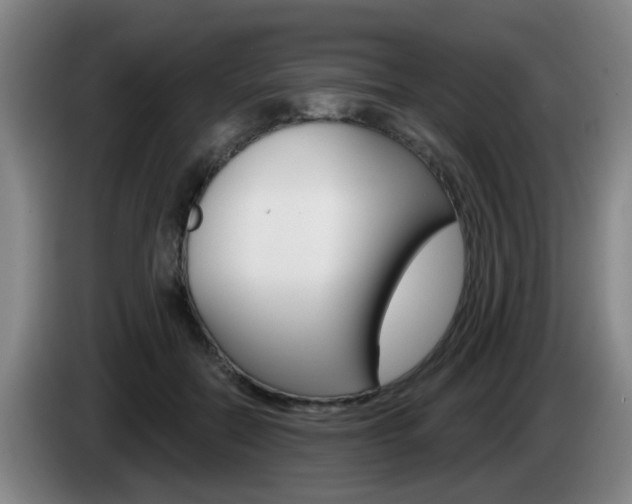 X0000085320554200703091117