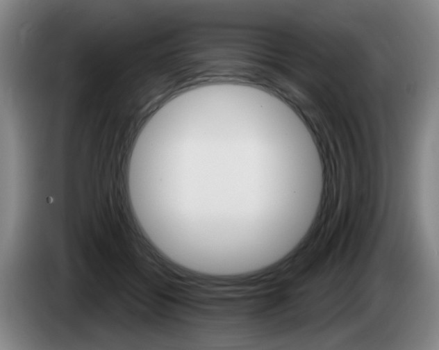 X0000085320556200703091117