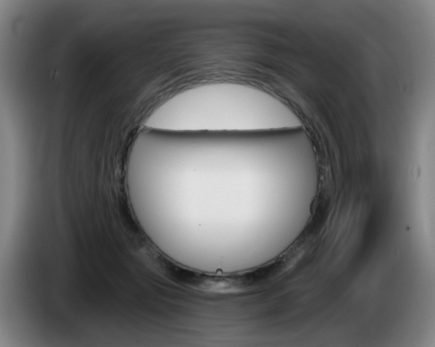 X0000085320557200703091117