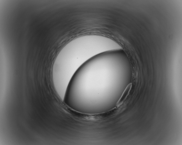 X0000085320558200703091117