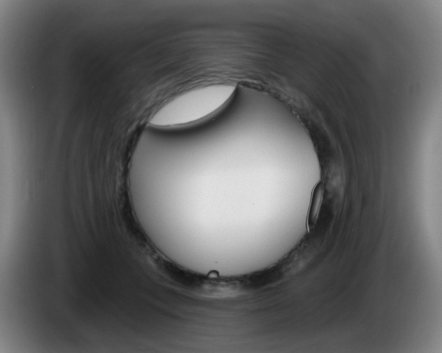 X0000085320559200703091117