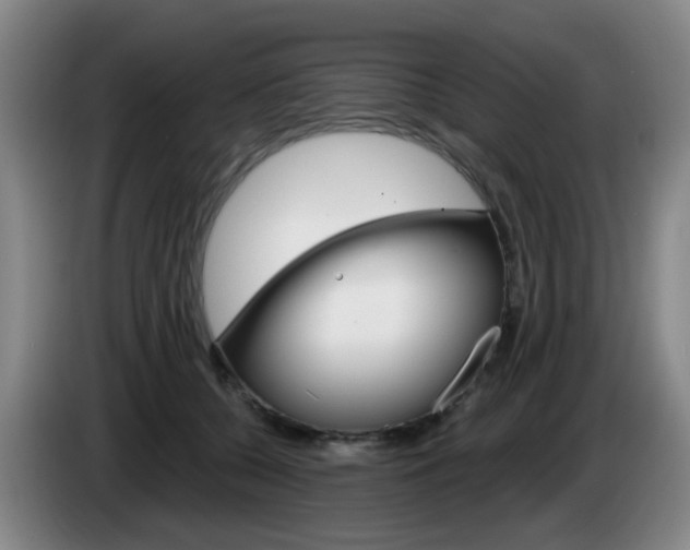 X0000085320560200703091117