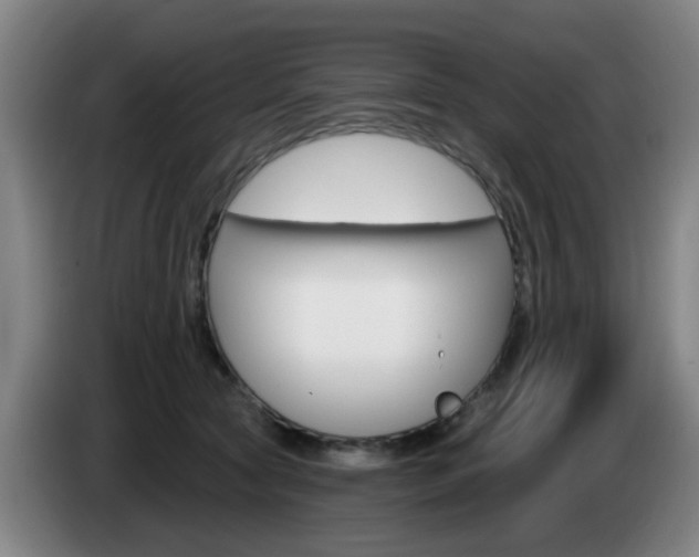 X0000085320561200703091117