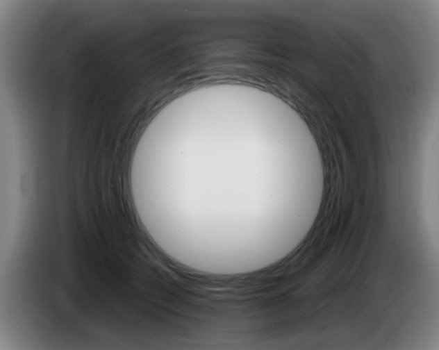 X0000085320562200703091117