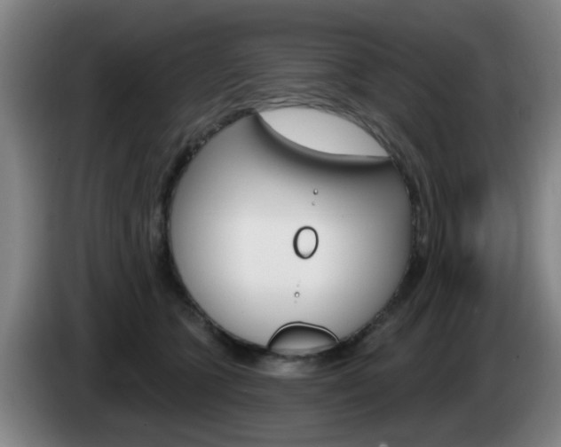 X0000085320563200703091117