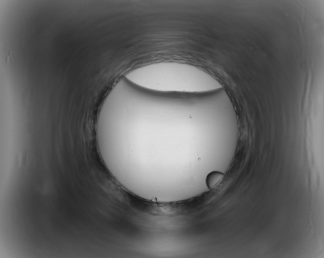 X0000085320565200703091117