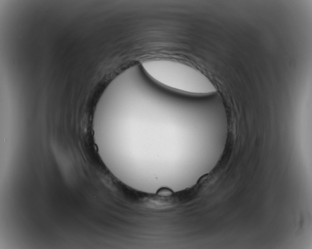 X0000085320567200703091117