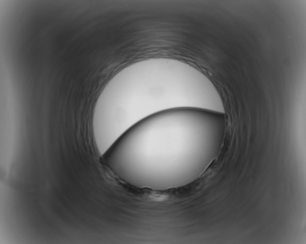 X0000085320570200703091117