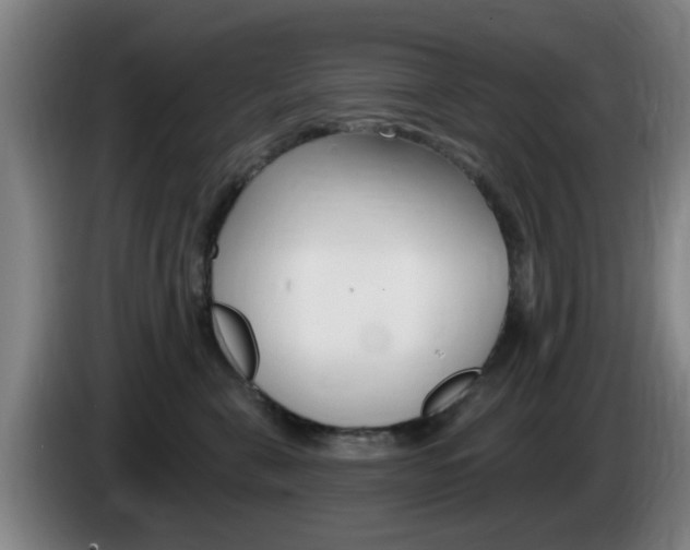 X0000085320571200703091117