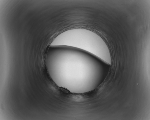X0000085320572200703091117