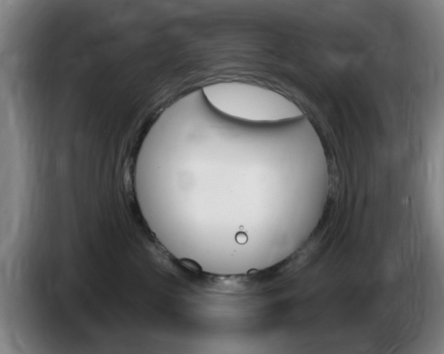 X0000085320573200703091117